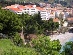 Vis