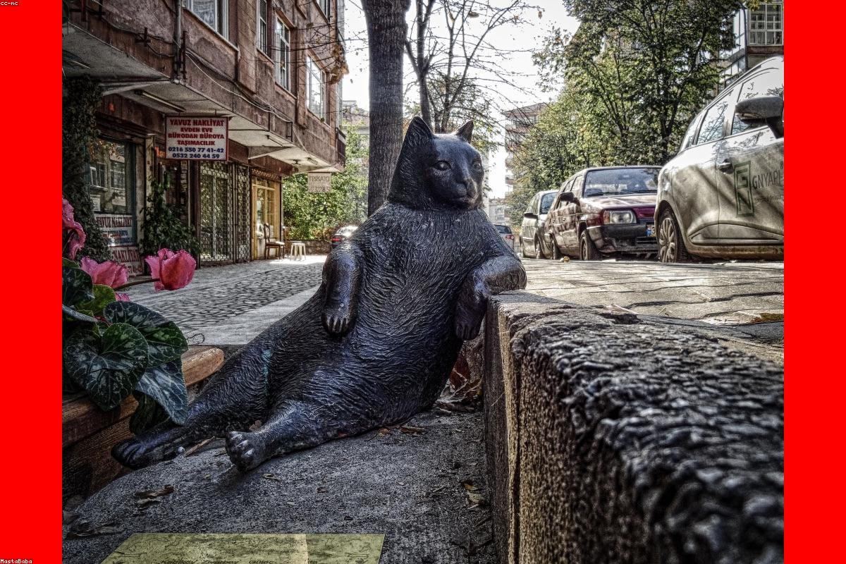 Lokaty i oszczędzanie